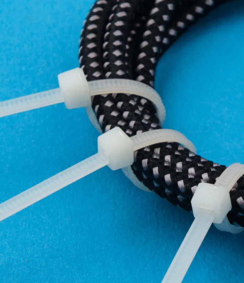 TYCAB SM Feb 2401214 TYCAB SM Feb 2401214