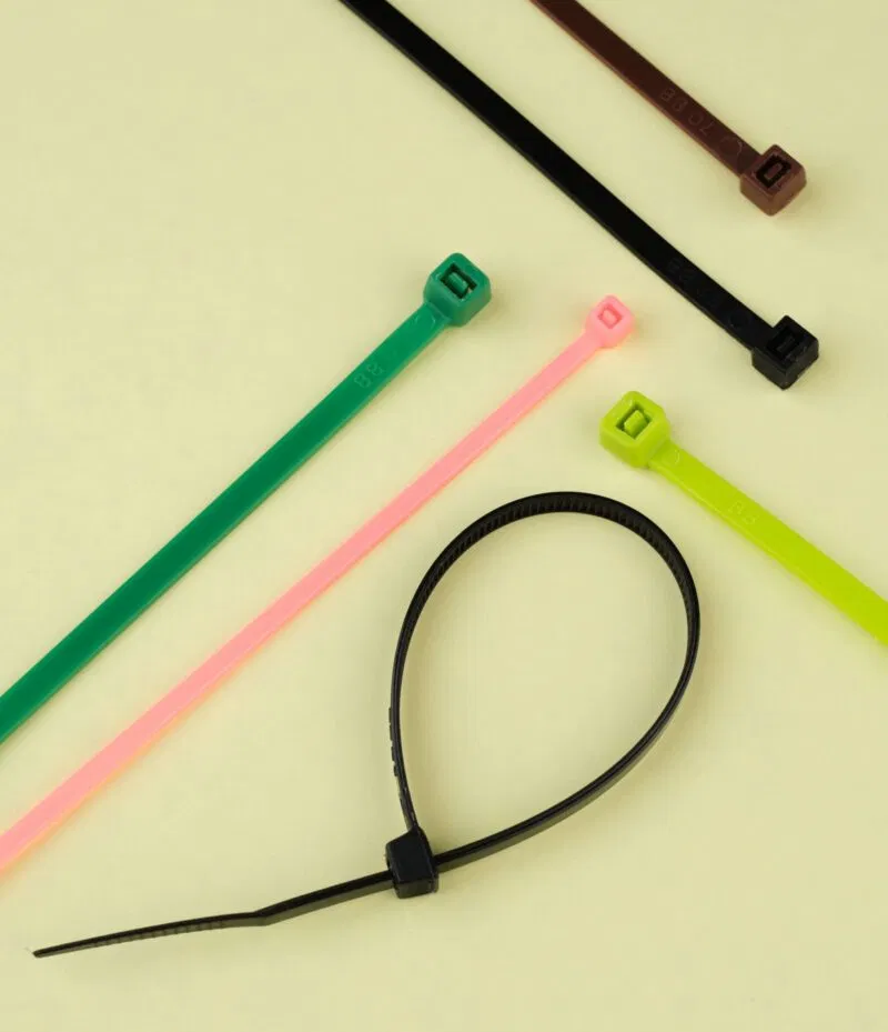 Tycab Feb 202503160 (1) Tycab Feb 202503160 (1)