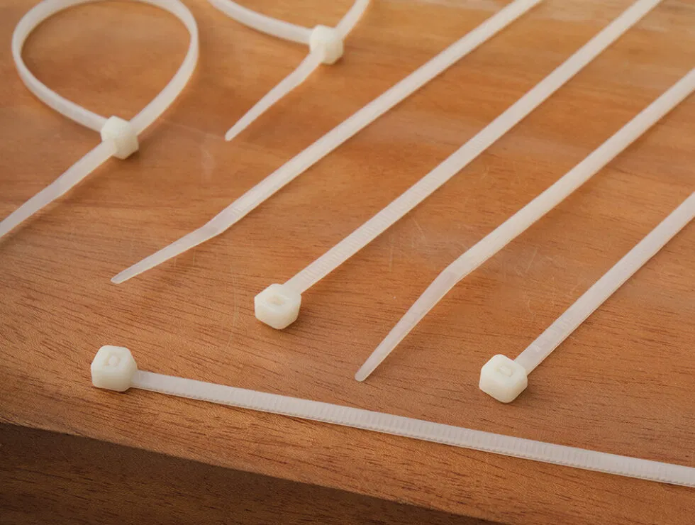 Tycab November 202300683